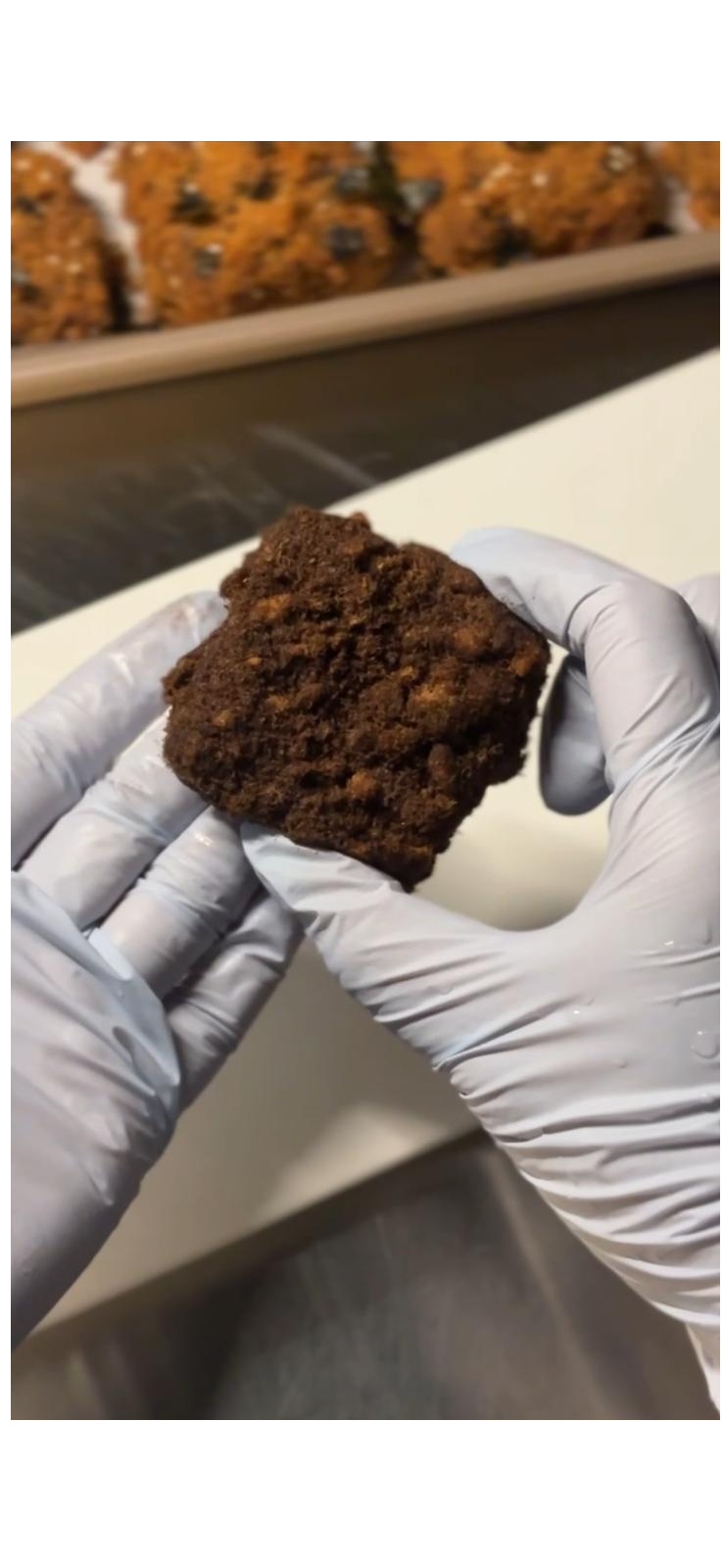 巧克力肉鬆磅蛋糕